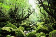 【屋久島町】JCBトラベルふるさと納税旅行クーポン（15,000円分）※JCBカード会員限定