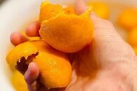 屋久島たんかん精油　3ml