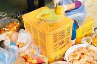 屋久島たんかん精油　3ml