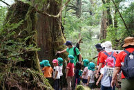 【屋久島の森を感じる&nbsp;屋久杉の箸置き】屋久島産／花崗岩をイメージしたコロット感がたまらない！屋久杉の箸置き