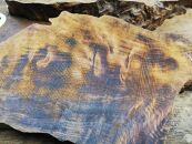 屋久杉Initialイニシャルキーホルダー　”R”