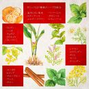 屋久島・種子島産ガジュツ配合&nbsp;恵命堂我述飴（10袋セット）