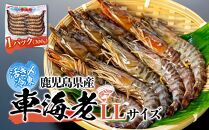 鹿児島県産&nbsp;活き〆冷凍&nbsp;車海老（養殖）LLサイズ&nbsp;300g（10～12尾）1パック&nbsp;セット