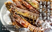 鹿児島県産&nbsp;活き〆冷凍&nbsp;車海老（養殖）LLサイズ&nbsp;300g（10～12尾）1パック&nbsp;セット