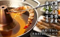 鹿児島県産&nbsp;活き〆冷凍&nbsp;車海老（養殖）LLサイズ&nbsp;計600g（300g&nbsp;10～12尾×2パック）セット