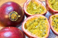 【2026年発送先行受付】絶品パッションフルーツM玉(20玉)“屋久島の恵み”と“愛情”込めて！【パッションフルーツ&nbsp;パッション&nbsp;フルーツ&nbsp;果物&nbsp;くだもの&nbsp;お取り寄せ&nbsp;期間限定&nbsp;数量限定&nbsp;人気&nbsp;おすすめ&nbsp;鹿児島県&nbsp;屋久島町&nbsp;NP19】