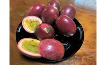 【2026年発送先行受付】絶品パッションフルーツM玉(20玉)“屋久島の恵み”と“愛情”込めて！【パッションフルーツ&nbsp;パッション&nbsp;フルーツ&nbsp;果物&nbsp;くだもの&nbsp;お取り寄せ&nbsp;期間限定&nbsp;数量限定&nbsp;人気&nbsp;おすすめ&nbsp;鹿児島県&nbsp;屋久島町&nbsp;NP19】