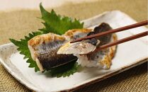 【2025年4月以降発送予定】屋久島産&nbsp;とびうお&nbsp;フィレ&nbsp;約1200g（約100g×12パック）冷凍&nbsp;真空パック