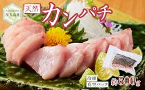 屋久島産&nbsp;天然カンパチ&nbsp;約500g&nbsp;ブロック&nbsp;冷凍&nbsp;真空パック