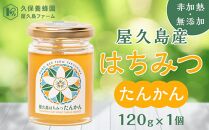 【非加熱・無添加】屋久島産&nbsp;はちみつ（たんかん）120g×1個＜久保養蜂園&nbsp;屋久島ファーム＞