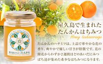 【非加熱・無添加】屋久島産&nbsp;はちみつ（たんかん）120g×1個＜久保養蜂園&nbsp;屋久島ファーム＞