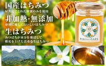 【非加熱・無添加】屋久島産&nbsp;はちみつ（たんかん）120g×1個＜久保養蜂園&nbsp;屋久島ファーム＞