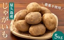 【2026年3月上旬頃から発送】屋久島産&nbsp;じゃがいも&nbsp;5kg＜農薬不使用＞