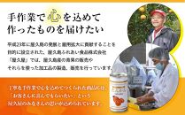 屋久島たんかんジュース&nbsp;190ml×10本＜屋久島の恵み／果汁100%&nbsp;ストレートジュース＞