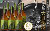屋久島&nbsp;大自然林&nbsp;芋&nbsp;720ml&nbsp;6本&nbsp;本格芋焼酎&nbsp;＜本坊酒造&nbsp;屋久島伝承蔵＞