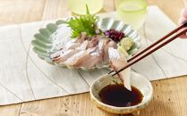 【2025年4月以降発送予定】屋久島産&nbsp;とびうお&nbsp;フィレ&nbsp;約400g（約100g×4パック）冷凍&nbsp;真空パック