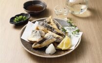 【2025年4月以降発送予定】屋久島産&nbsp;とびうお&nbsp;フィレ&nbsp;約400g（約100g×4パック）冷凍&nbsp;真空パック