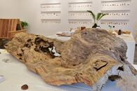 エコでおしゃれな屋久島地杉のクリップ【YAKUSHIMA&nbsp;BLESS】