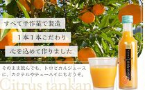 屋久島プレミアムたんかんジュース&nbsp;200g×12本＜果汁100%ストレートジュース＞