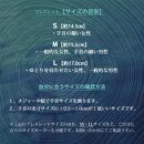 BRACE【屋久杉×水牛角｜手削り】Mサイズ