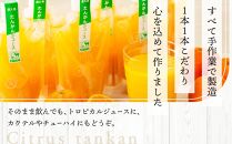 屋久島プレミアムたんかんジュース&nbsp;パウチ&nbsp;160g×15パック&nbsp;＜果汁100%ストレートジュース＞