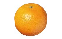 2027年発送&nbsp;屋久島産たんかん&nbsp;家庭用&nbsp;訳あり&nbsp;約5kg(S～2Lサイズ・少々キズあり)＜先行予約／数量限定＞