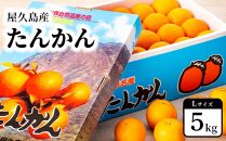 2027年発送&nbsp;屋久島産たんかん&nbsp;約5kg・Lサイズ＜先行予約／数量限定＞