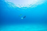 【屋久島町】JTBふるさと旅行クーポン（Eメール発行）（300,000円分）|&nbsp;宿泊券&nbsp;宿泊&nbsp;旅行券&nbsp;観光&nbsp;旅行&nbsp;ホテル&nbsp;クーポン&nbsp;チケット&nbsp;トラベルクーポン&nbsp;トラベル&nbsp;屋久島&nbsp;人気&nbsp;おすすめ&nbsp;鹿児島県&nbsp;屋久島町&nbsp;JTBW030T