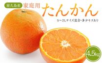 【2027年3月初旬以降発送】屋久島産&nbsp;家庭用&nbsp;たんかん&nbsp;4.5kg&nbsp;バラ（S～2Lサイズ混合・多少キズあり）