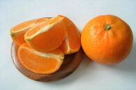 大山果樹園厳選　贈答用&nbsp;屋久島たんかん&nbsp;5kg＜秀品L～2L＞