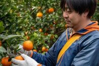 大山果樹園厳選　贈答用&nbsp;屋久島たんかん&nbsp;5kg＜秀品L～2L＞