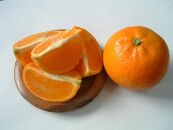 大山果樹園厳選　贈答用&nbsp;屋久島たんかん&nbsp;5kg＜秀品Mサイズ＞