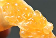 大山果樹園おすすめ&nbsp;屋久島たんかん&nbsp;約5kg【家庭用・良品】