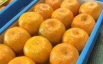 2026年&nbsp;屋久島産&nbsp;ぽんかん&nbsp;約5kg・Lサイズ＜先行予約／数量限定＞