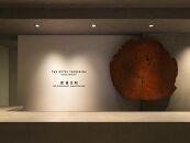 和室スタンダードプラン＜1泊夕朝食付・ペアチケット＞［THE&nbsp;HOTEL&nbsp;YAKUSHIMA&nbsp;OCEAN&nbsp;＆&nbsp;FOREST］