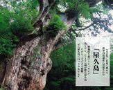 屋久島町に泊まるふるさと納税旅行クーポン【12,000円分】