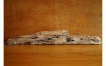 【相良パーティ】屋久島の流木【大サイズ】