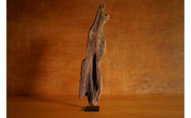 【相良パーティ】屋久島の流木【中サイズ】