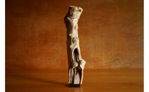 【相良パーティ】屋久島の流木【中サイズ】