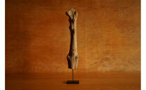 【相良パーティ】屋久島の流木【中サイズ】