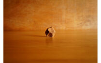 【相良パーティ】屋久杉(スギ)オブジェ　大　　