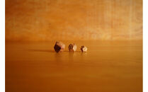 【相良パーティ】屋久杉&nbsp;オブジェ&nbsp;小