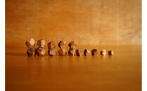 【相良パーティ】屋久杉&nbsp;オブジェ&nbsp;小