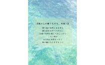 世界自然遺産の屋久島の水でゆっくり淹れた水出しコーヒー
