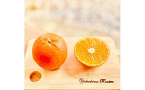 屋久島たんかんピュアチョコレート&nbsp;25g×2枚