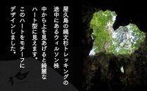 屋久島ウィルソン株ハートTシャツ&nbsp;(ラグラン／Sサイズ：男女兼用)