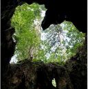 屋久島ウィルソンハートTシャツ&nbsp;(速乾生地ドライタイプ)&nbsp;蛍光ピンク：Sサイズ