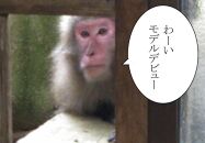 やくさるTシャツDRY　LLサイズ&nbsp;【緑】