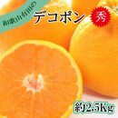 ［先行予約］［秀品］和歌山有田のデコポン！約2.5kg&nbsp;［2027年1月下旬以降順次発送］［NGT15］