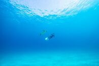 【屋久島町】JTBふるさと旅行券（紙券）450,000円分&nbsp;|&nbsp;宿泊券&nbsp;宿泊&nbsp;旅行券&nbsp;観光&nbsp;旅行&nbsp;ホテル&nbsp;クーポン&nbsp;チケット&nbsp;トラベルクーポン&nbsp;トラベル&nbsp;屋久島&nbsp;人気&nbsp;おすすめ&nbsp;鹿児島県&nbsp;屋久島町&nbsp;JDS02